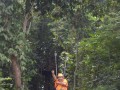 Tn DSC 4298